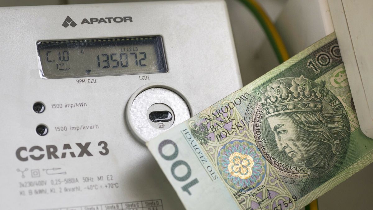 fot. ARKADIUSZ ZIOLEK/East News