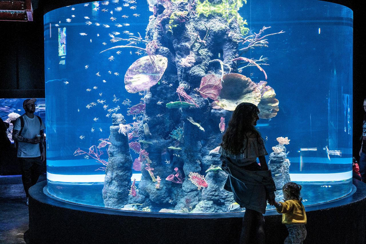 Strefa oceaniczna łódzkiego Orientarium 