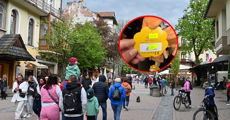 Opanowały polski kurort. Płacą za nie nawet 140 zł