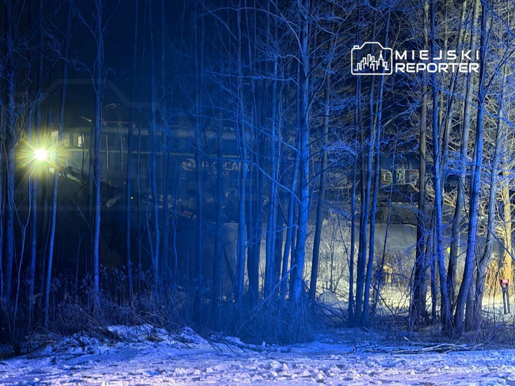 Nieoznakowany pojazd z włączonymi światłami przemieszcza się w otoczeniu drzew w zaśnieżonym terenie nocą.