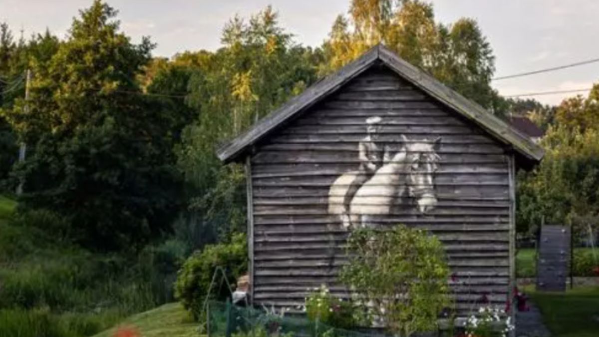Deskal chłopiec na koniu