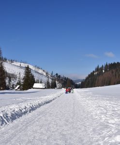 5-latek zgubił się w Tatrach. Interweniował TOPR