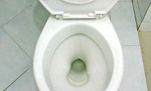 Wsyp do toalety przed wizytą gości. Po 15 minutach fetor zniknie