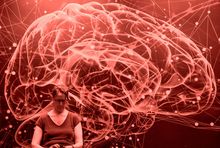 Unsplash, fot. Markus Kammermann