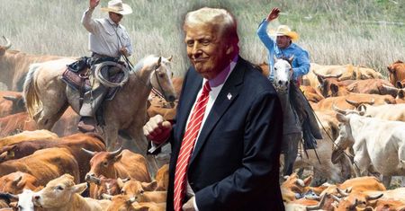 Trump: czkawka władzy. "Inwazja hamburgerów z Mercosur" na pewno mu nie pomoże [OPINIA]