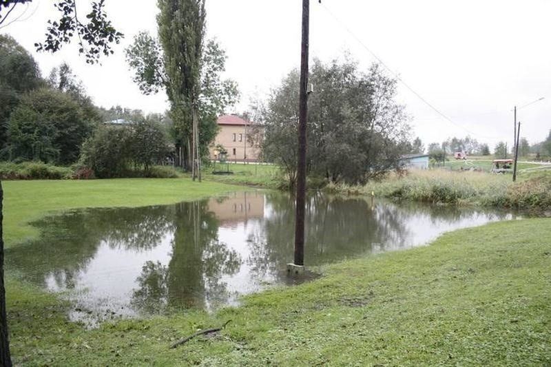 W Oświęcimiu walkę z komarami rozpoczęto od 2002 roku i prowadzona jest regularnie. Rozlewiska to wylęgarnia komarów