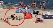Kamera uchwyciła go na plaży w Sarbinowie. Lepiej tak nie rób