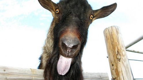 Prezenty na 18 urodziny – galeria konkursowa 1