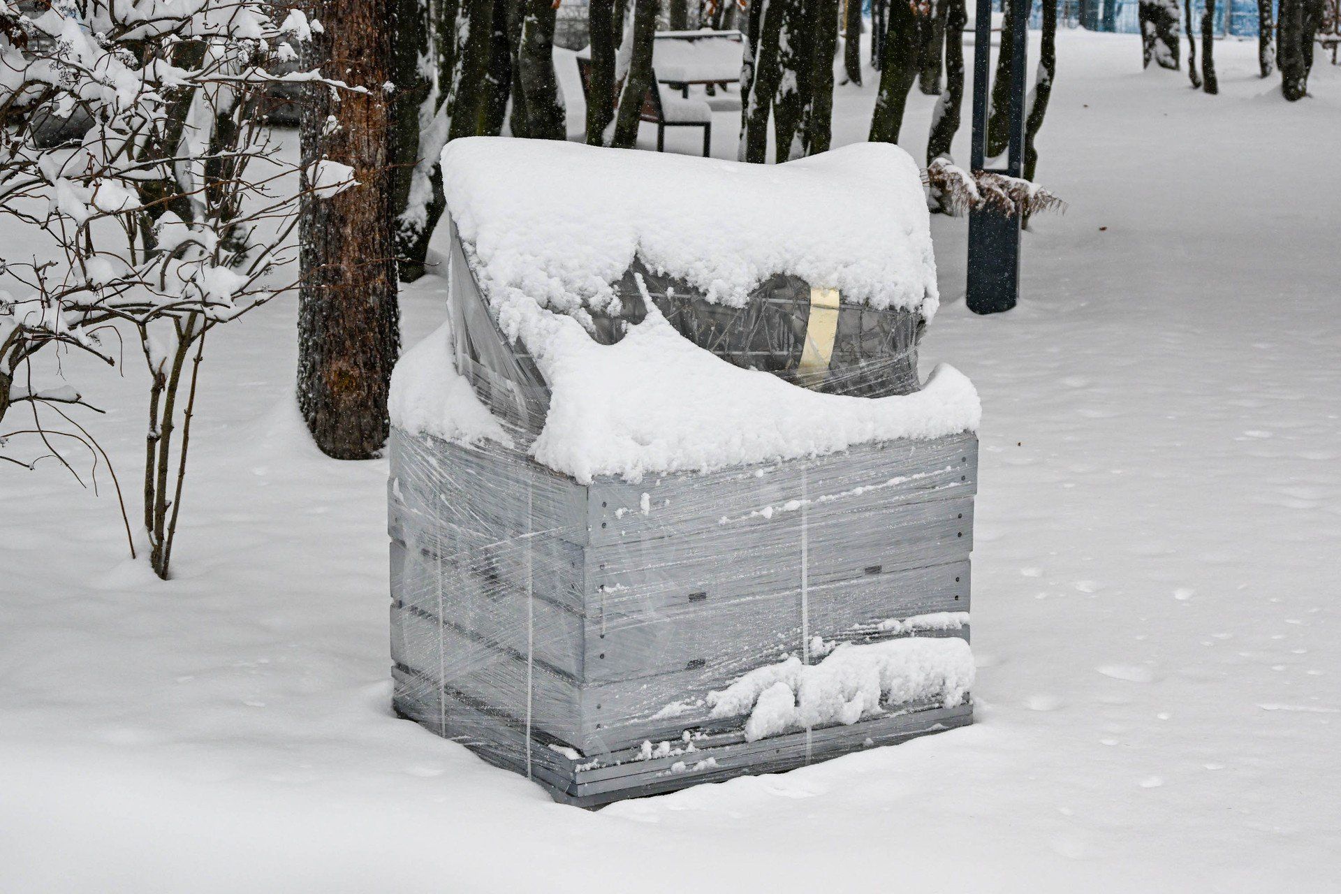 Park Miliona Świateł