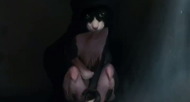 Pies Chewbaccą, a kot Lordem Vaderem w bożonarodzeniowej kampanii sprzętu Samsung Galaxy (wideo)