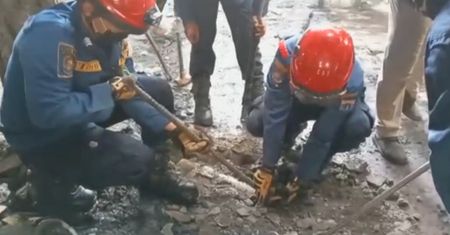 Pyton w kanalizacji. Przerażające, skąd wyciągnęli 5-metrową bestię