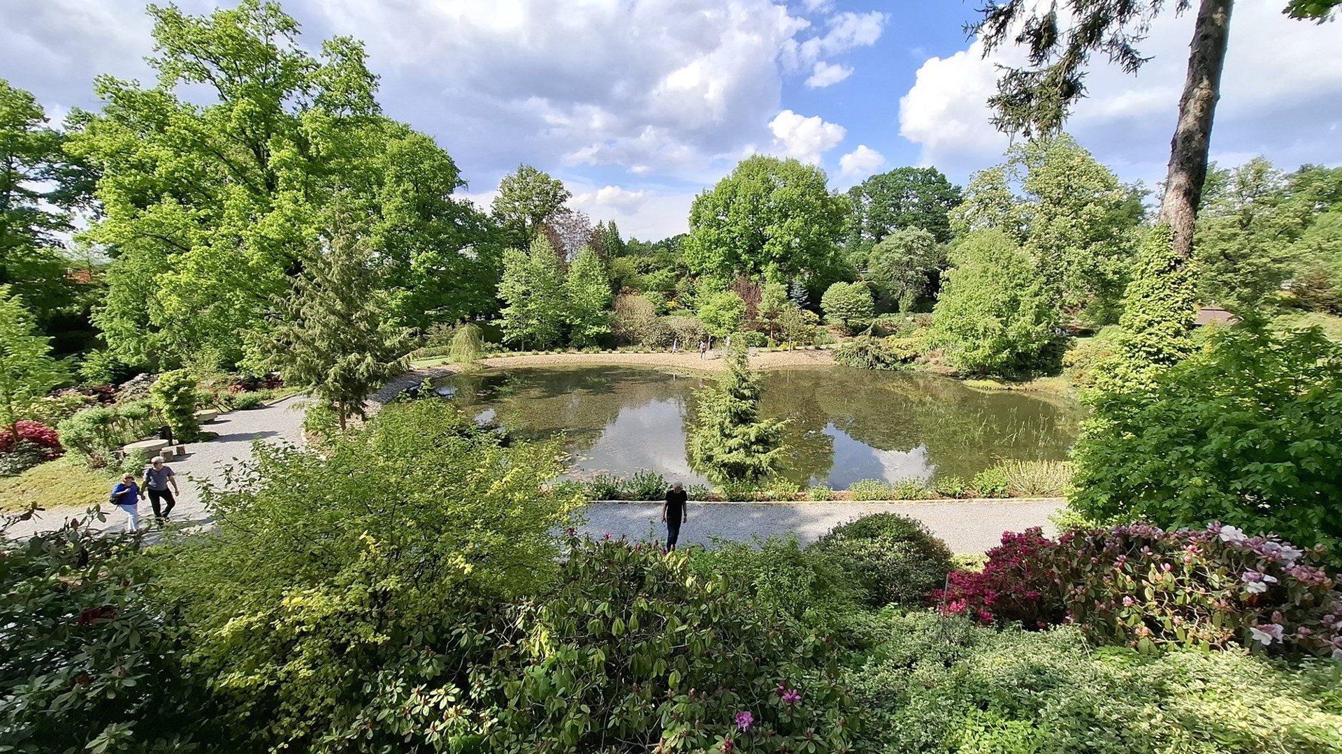 Na południu Dolnego Śląska, zaledwie godzinę drogi od Wrocławia, kryje się wyjątkowe miejsce - Arboretum w Wojsławicach. To nie tylko ogród botaniczny, ale też romantyczny park z ponad 200-letnią historią, w którym przyroda splata się z pasją i sztuką ogrodniczą.