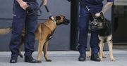 Poznań: Oto najlepsze czworonogi w wielkopolskiej policji. Nagrodzono psy oraz ich opiekunów. "Nic nie zastąpi nosa psa"
