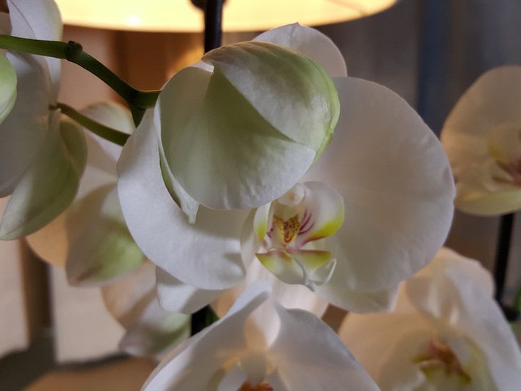 Samsung Galaxy S7 - przykładowe zdjęcia i szybkie porównanie z Galaxy S6 23