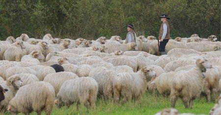 Górale załamują ręce przed majówką. Chodzi o redyki