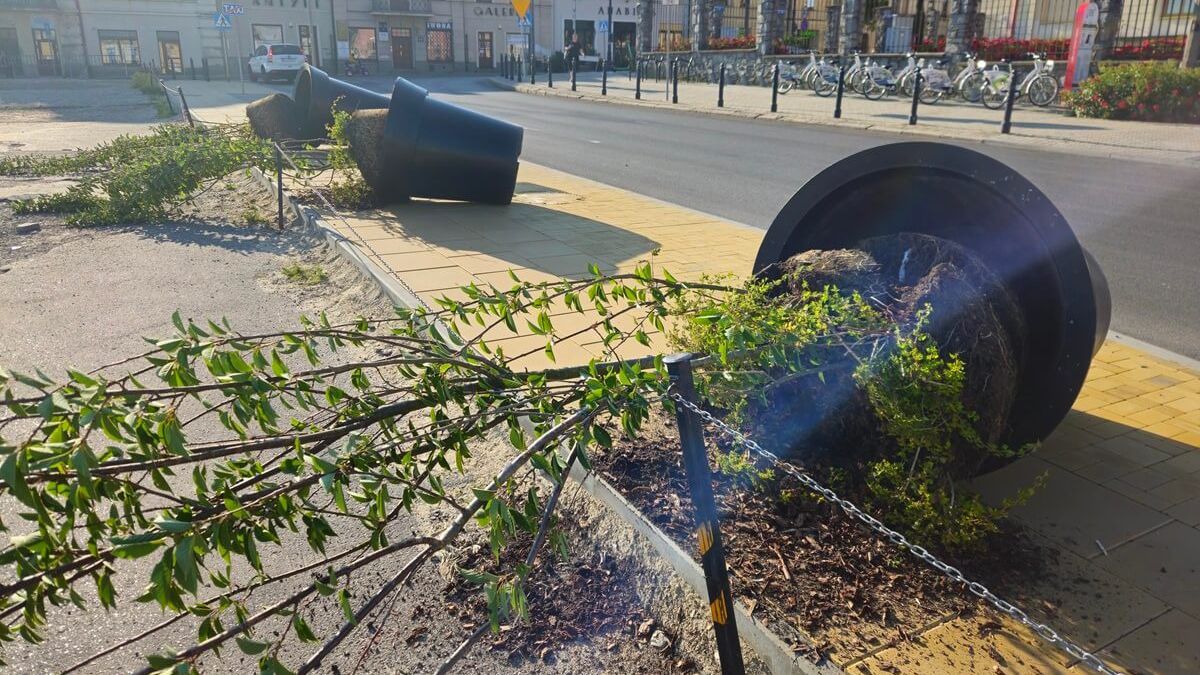 Przewrócone donice z drzewami na ul. Bajkowskiego w Lublinie