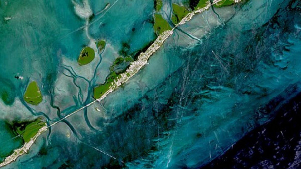 Coraz większa temperatura wody powoduje obumieranie rafy.