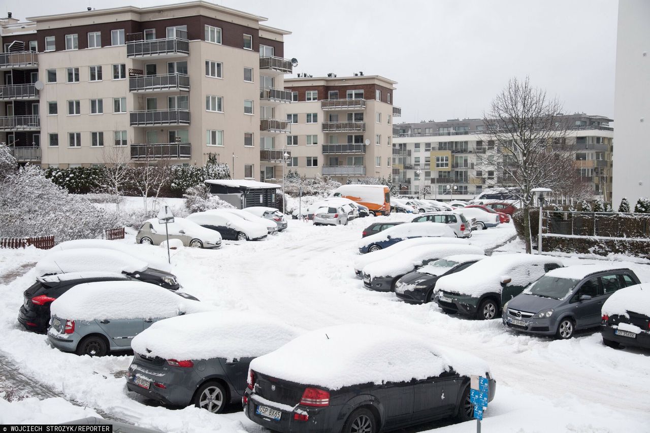 Od wtorku ocieplenie. Synoptyk IMGW mówi, czy śnieg wróci