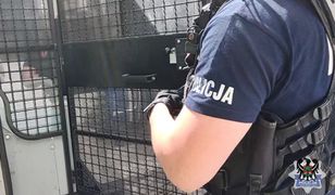 Porwanie 14-latki w Poznaniu. Są zarzuty