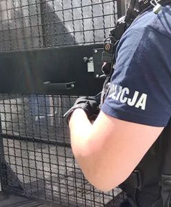 Porwanie 14-latki w Poznaniu. Są zarzuty