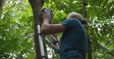 Inteligentne pułapki fotograficzne kontra kłusownicy. Ta technologia jest świetna