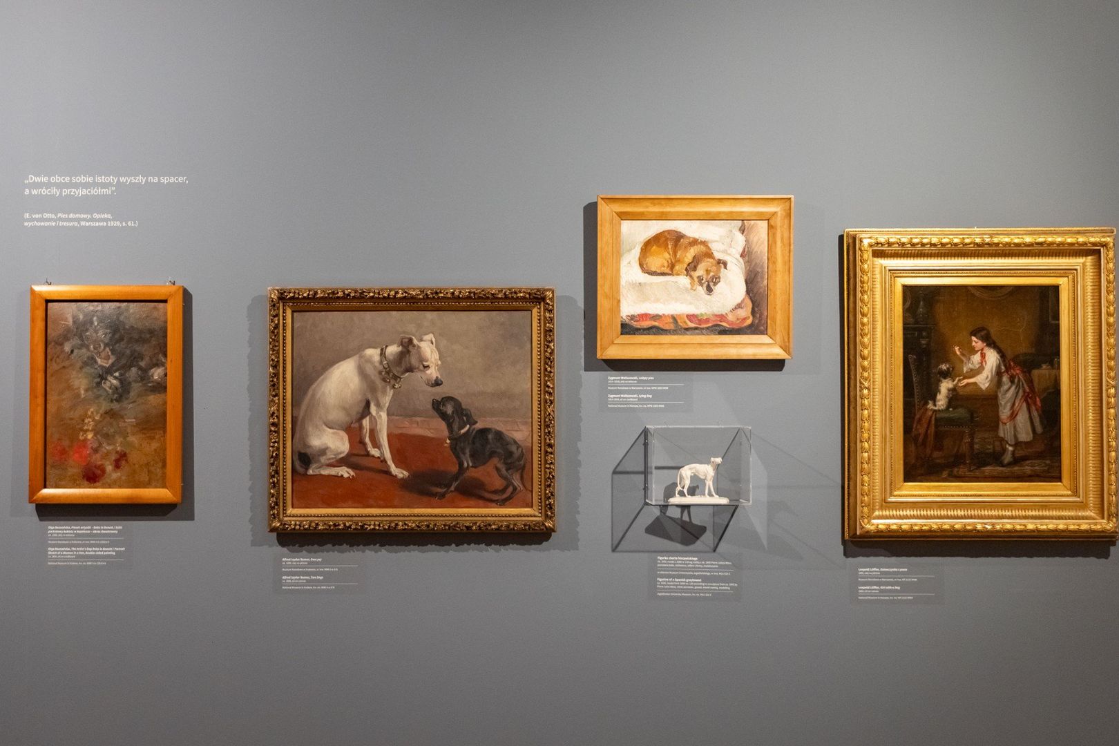 Wystawa &#34;Miasto zwierząt&#34; w Muzeum Krakowa