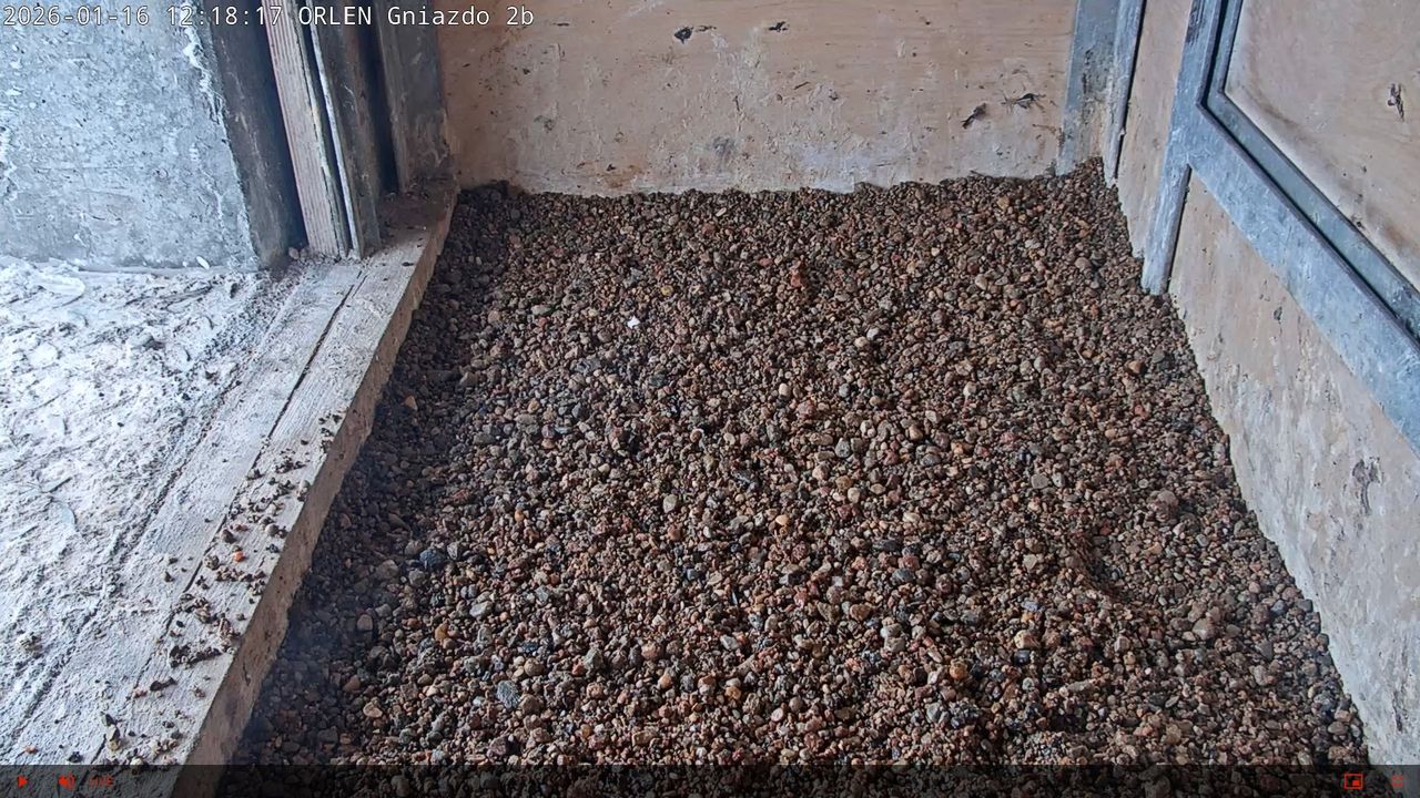 Budki lęgowe gotowe na przyjęcie lokatorów

