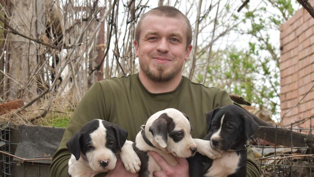 "Zwierzęta z linii frontu"