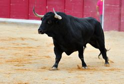 Polskie miasto zakazało rodeo. "Tysiące osób chciało je obejrzeć"