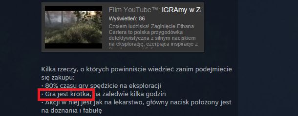 Przeliczanie czasu gry na złotówki jest głupie, ale... w Polsce inaczej się nie da 2
