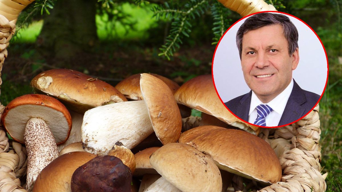 Janusz Piechociński spotkał grzybiarza na dworcu w Warszawie