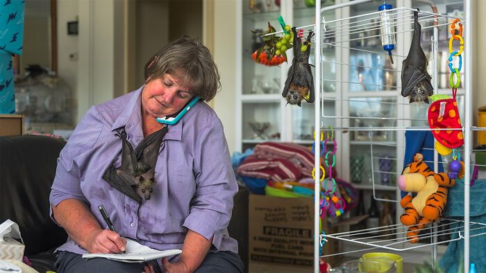Wildlife Photographer of the Year 2021. Oto najlepsze zdjęcia według publiczności 8