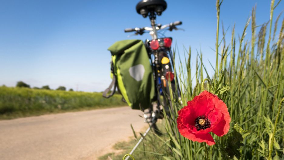Ścieżki rowerowe