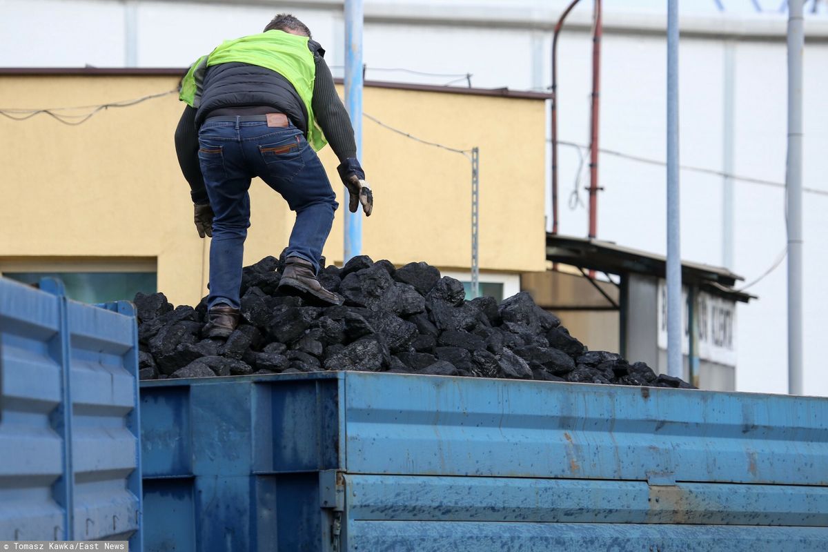Polska Grupa Górnicza zdecydowała o utrzymaniu obniżonych cen niektórych gatunków węgla do końca tego roku