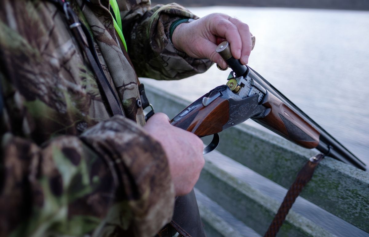 Posłowie PiS chcą znieść zakaz udziału w polowaniach osób poniżej 18 roku życia