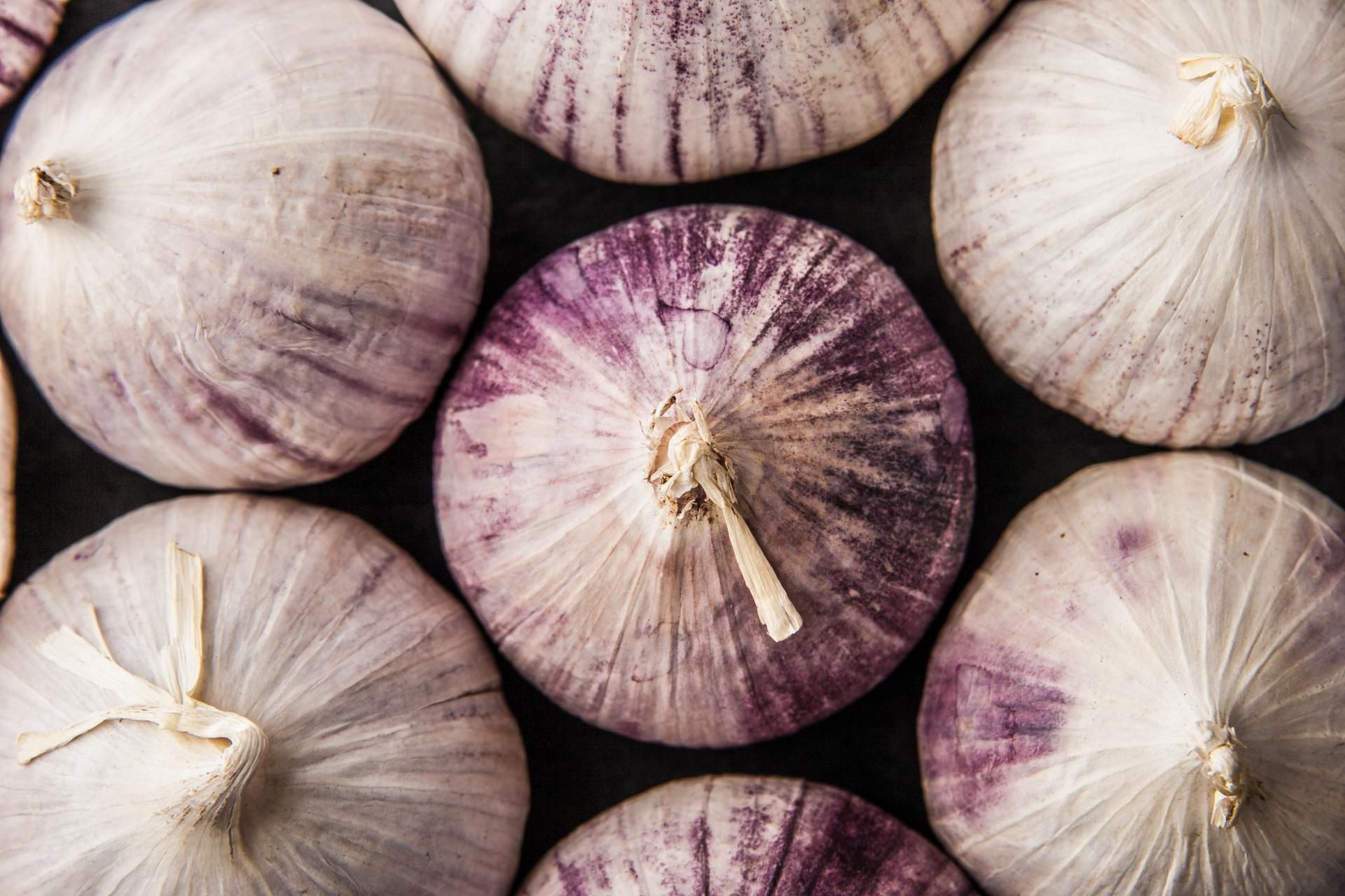 Czosnek zawiera aktywne związki, które działają lepiej niż antybiotyki