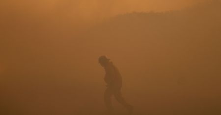 Co łączy pożary i COVID-19? Na Harvardzie znaleziono zależność