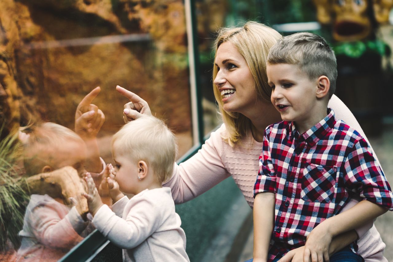 Łódź: W ogrodzie zoologicznym zamieszkały nowe zwierzęta