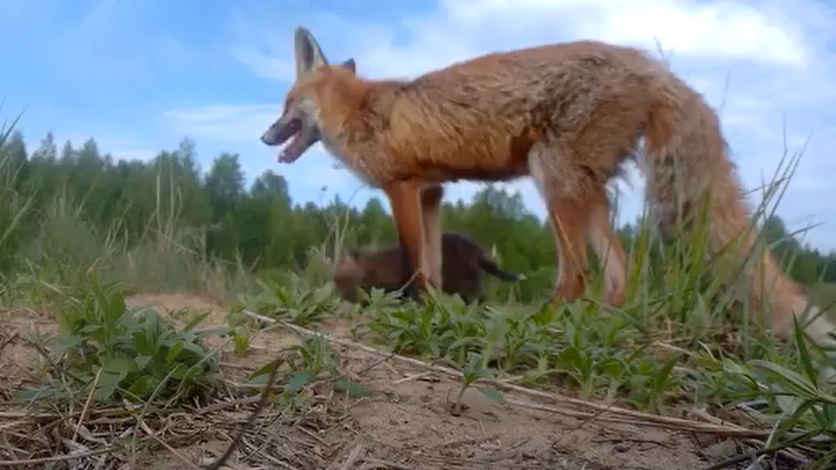 Natura też świętuje dzień matki!