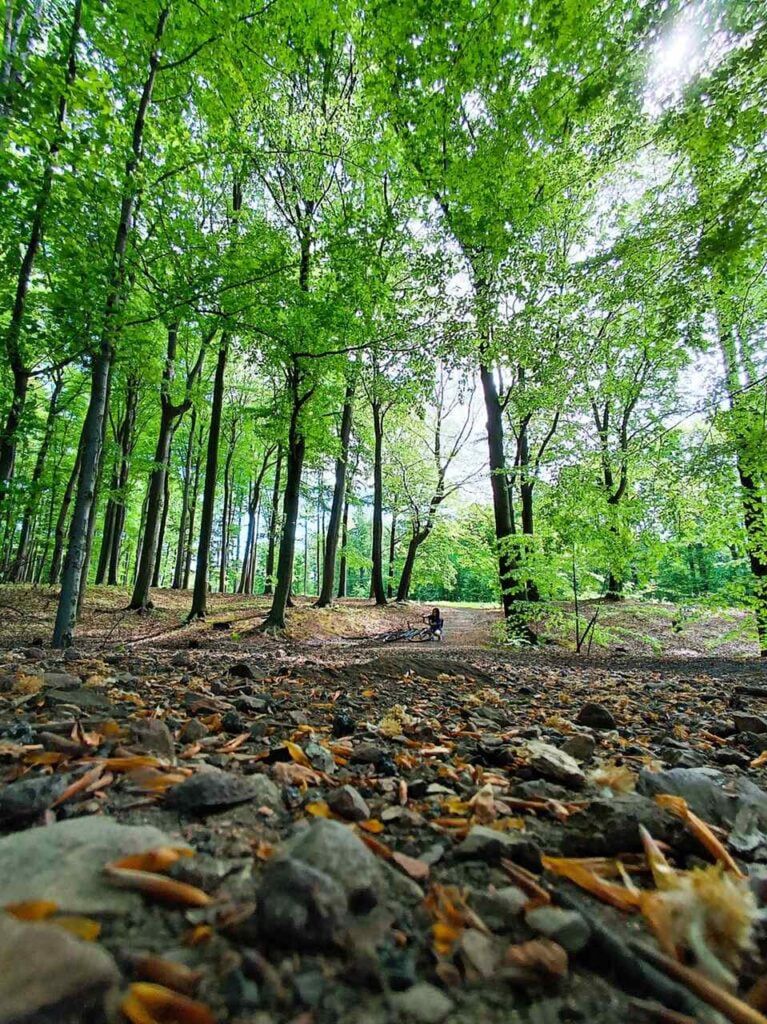 Czerwony szlak rowerowy nr 1 Katowice–Pszczyna. Najpiękniejsza trasa Śląska na dwa kółka