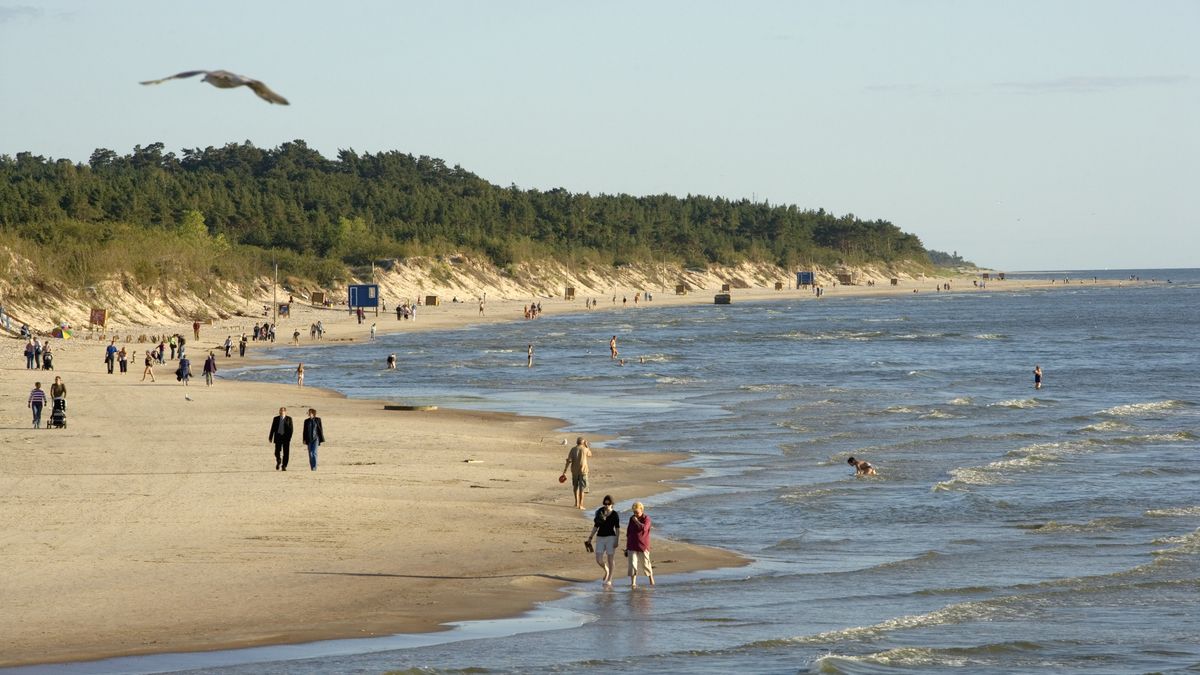 Plaża na wybrzeżu w litewskiej Pałągu