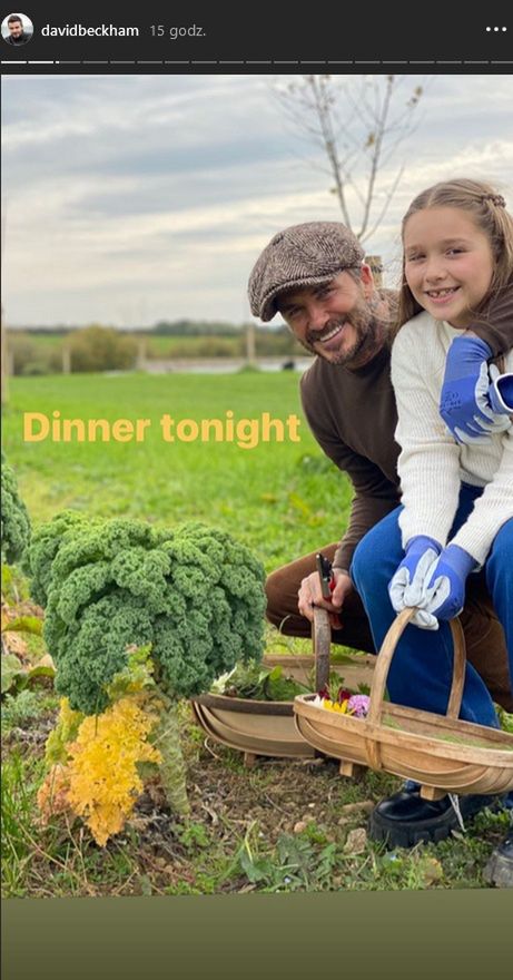 David Beckham z córką Harper
