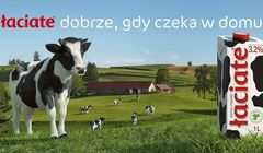 Łaciate zawsze w domu w nowej kampanii Mlekpolu (wideo)