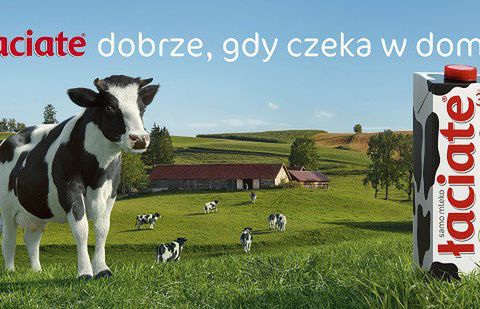 Łaciate zawsze w domu w nowej kampanii Mlekpolu (wideo)