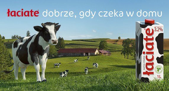 Łaciate zawsze w domu w nowej kampanii Mlekpolu (wideo)
