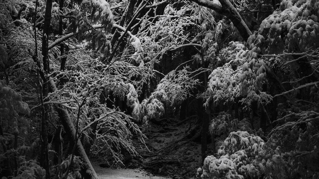 Tomasz Lazar na żywo: O budowaniu profesjonalnego portfolio 1