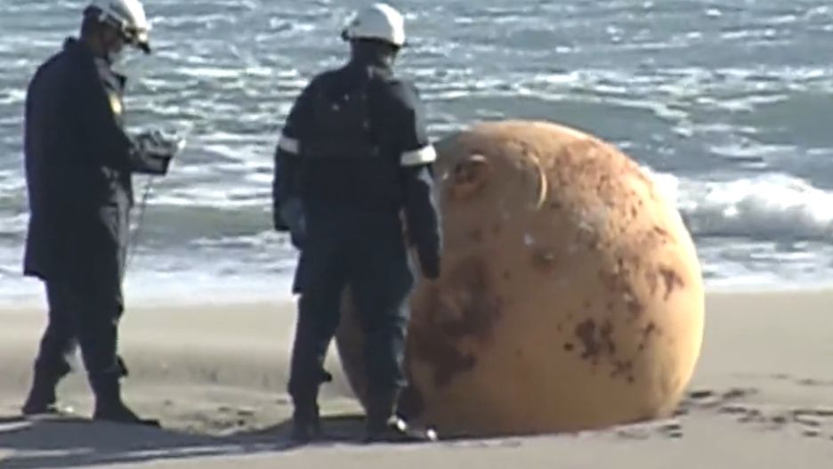 Tajemnicza kula została oficjalnie zidentyfikowana 21 lutego, choć niektórzy twierdzą, że leżała na plaży od miesiąca