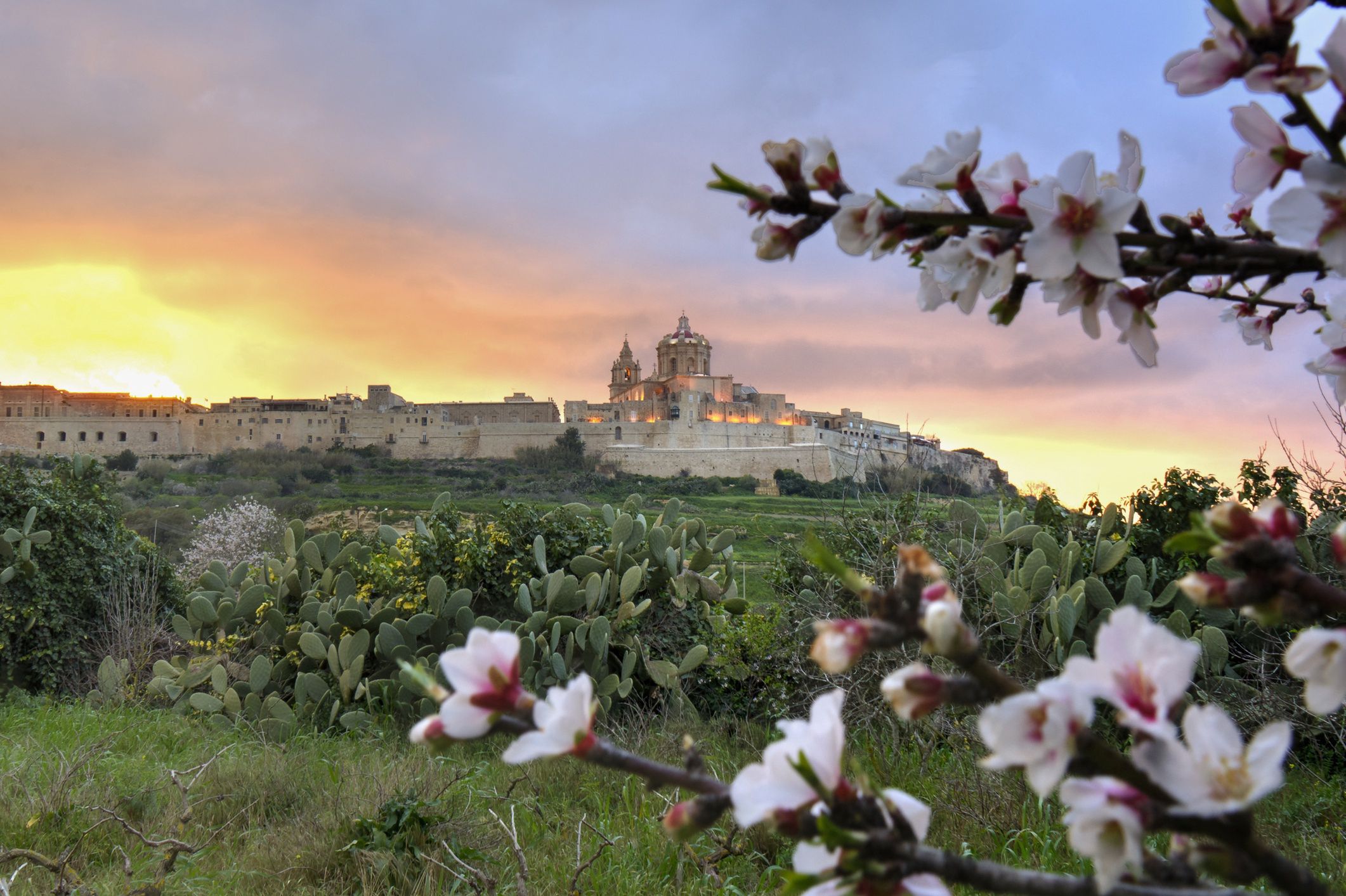 Mdina robi wrażenie