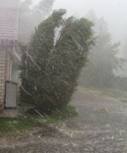 Tragiczne skutki nawałnic we Francji. Nie żyją dwie osoby