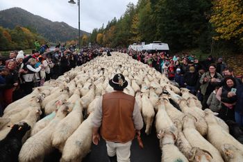 Prawdziwe oblężenie. Tłumy turystów w Szczawnicy